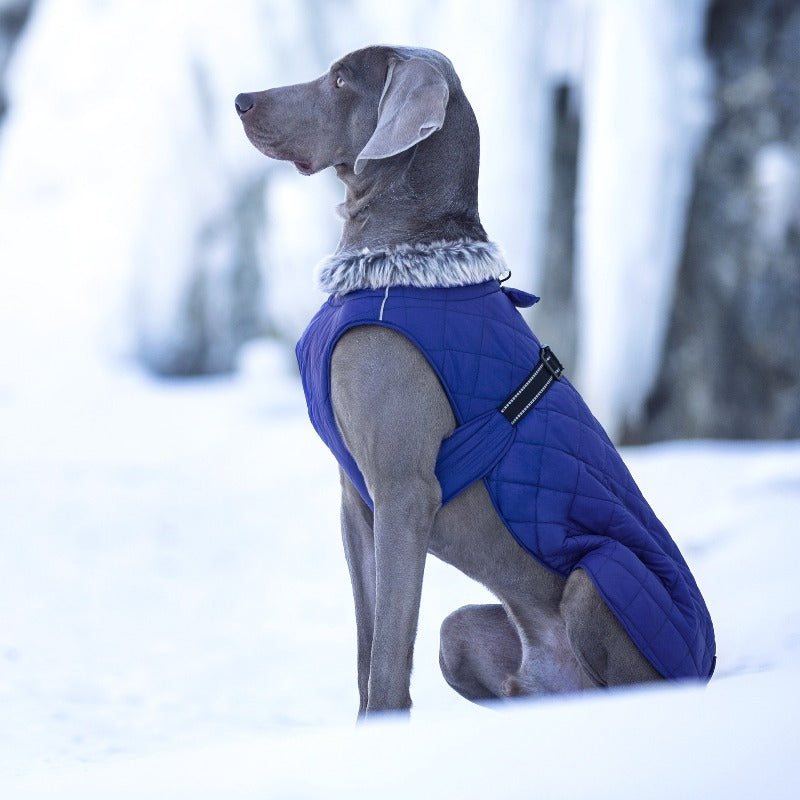 New Winter Heavy Duty Large Dog Jacket | All Weather Thickened Fleece Warm Pet Coat, Windproof Cold-Proof Adjustable Dog Parka for Big Breeds, Must Have Best Seller, Polyester, Pullover and Zipper Closure