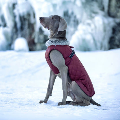 New Winter Heavy Duty Large Dog Jacket | All Weather Thickened Fleece Warm Pet Coat, Windproof Cold-Proof Adjustable Dog Parka for Big Breeds, Must Have Best Seller, Polyester, Pullover and Zipper Closure