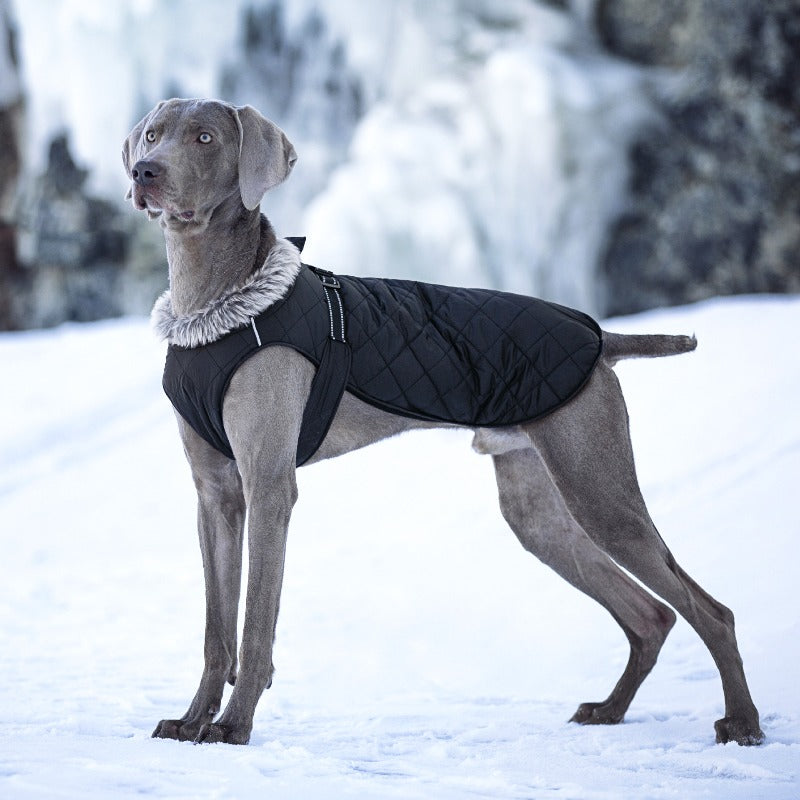 New Winter Heavy Duty Large Dog Jacket | All Weather Thickened Fleece Warm Pet Coat, Windproof Cold-Proof Adjustable Dog Parka for Big Breeds, Must Have Best Seller, Polyester, Pullover and Zipper Closure