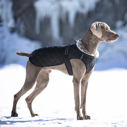 New Winter Heavy Duty Large Dog Jacket | All Weather Thickened Fleece Warm Pet Coat, Windproof Cold-Proof Adjustable Dog Parka for Big Breeds, Must Have Best Seller, Polyester, Pullover and Zipper Closure