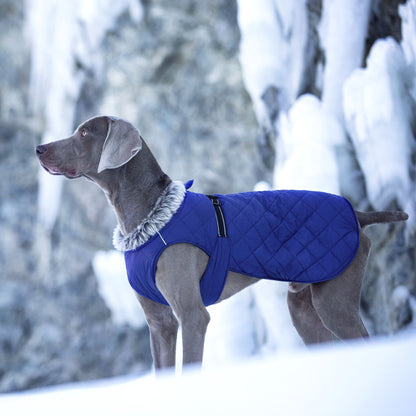 New Winter Heavy Duty Large Dog Jacket | All Weather Thickened Fleece Warm Pet Coat, Windproof Cold-Proof Adjustable Dog Parka for Big Breeds, Must Have Best Seller, Polyester, Pullover and Zipper Closure