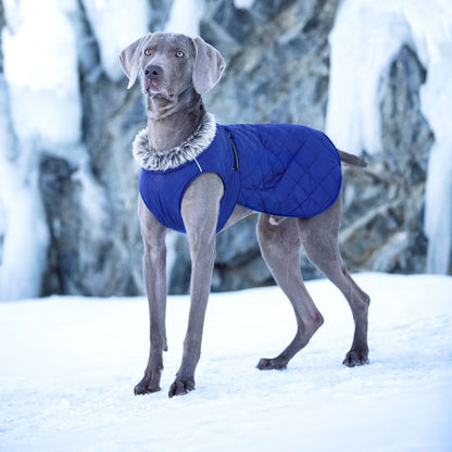 New Winter Heavy Duty Large Dog Jacket | All Weather Thickened Fleece Warm Pet Coat, Windproof Cold-Proof Adjustable Dog Parka for Big Breeds, Must Have Best Seller, Polyester, Pullover and Zipper Closure