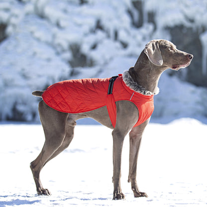 New Winter Heavy Duty Large Dog Jacket | All Weather Thickened Fleece Warm Pet Coat, Windproof Cold-Proof Adjustable Dog Parka for Big Breeds, Must Have Best Seller, Polyester, Pullover and Zipper Closure