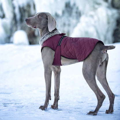 New Winter Heavy Duty Large Dog Jacket | All Weather Thickened Fleece Warm Pet Coat, Windproof Cold-Proof Adjustable Dog Parka for Big Breeds, Must Have Best Seller, Polyester, Pullover and Zipper Closure