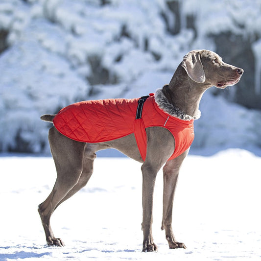 New Winter Heavy Duty Large Dog Jacket | All Weather Thickened Fleece Warm Pet Coat, Windproof Cold-Proof Adjustable Dog Parka for Big Breeds, Must Have Best Seller, Polyester, Pullover and Zipper Closure